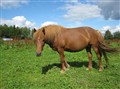 IMG_0113.JPG