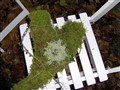 bilder nov-10 095.jpg