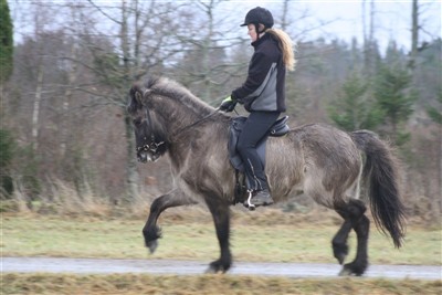 Saeta från Broaskog E:Blaer