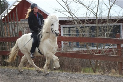 Soley från Broaskog