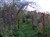 bilder nov-10 066.jpg